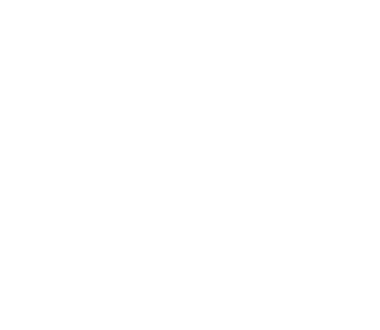 Fixed Route & Demand Response on One Device!