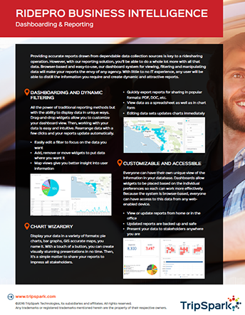RidePro Reporting & Dashboarding
