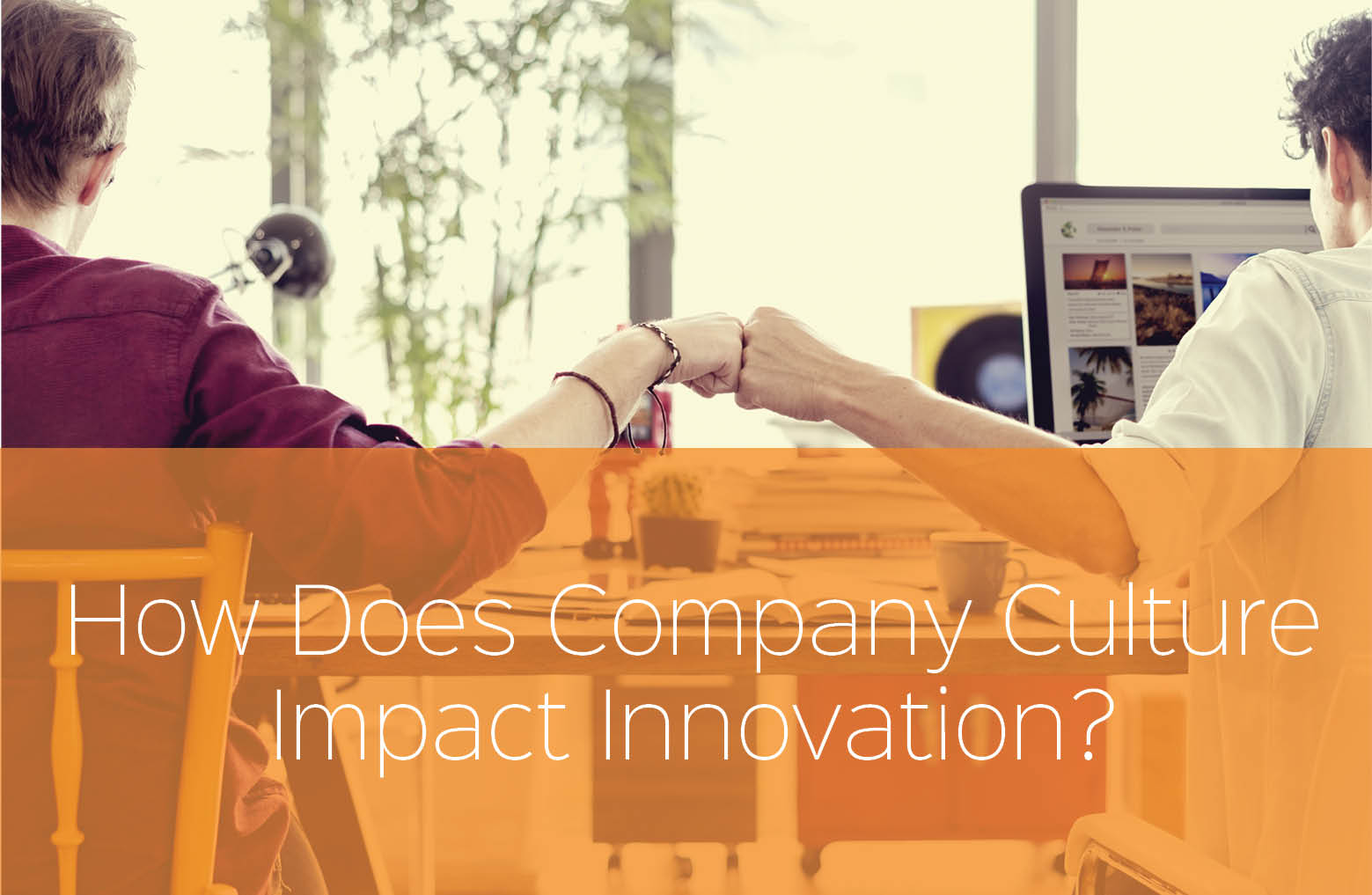 How does Company Culture Impact Innovation