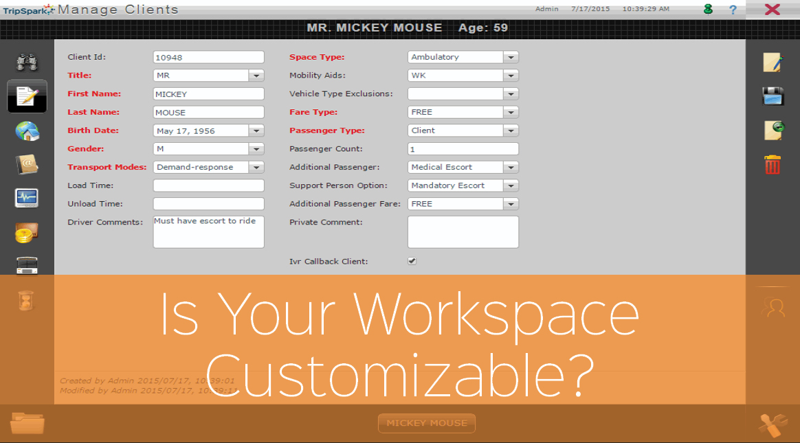 Paratransit Software and Customizing Workspaces