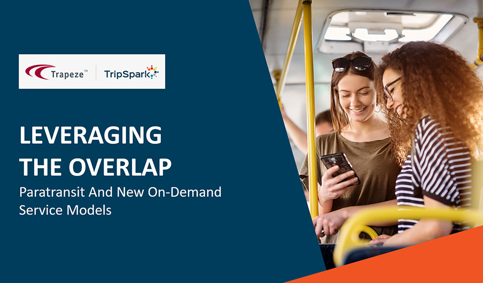 Leveraging the Overlap Between Paratransit and New On-Demand Service Models