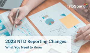 NTD Reporting Requirements: What You Need to Know